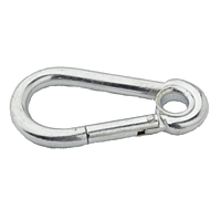 Carabiner with eyelet